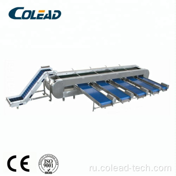 Best Pright Jube Roller Type Classifier /Machine Machine